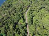  69.16 Acres Property Mountain & Top Ocean View - Photo 9