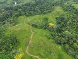  Fire Sale Farm With Ocean View, Piedras Blancas - Photo 5
