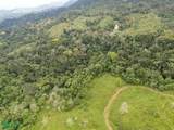  Fire Sale Farm With Ocean View, Piedras Blancas - Photo 9