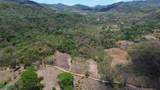  Lot 3 Hectares - Photo 5