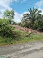 s/n Calle Parcelas De Damas - Photo 20
