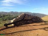  Finca Toro - Photo 11