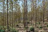  Finca Toro - Photo 15