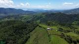  Finca Toro - Photo 6