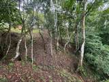  Fire Sale: Breathtaking Pacific Ocean Views Lot - Photo 27