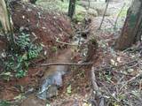 s/n Bijagual Carara Turrubares - Photo 14