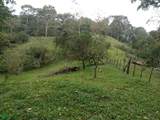 s/n Bijagual Carara Turrubares - Photo 4
