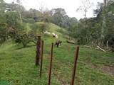 s/n Bijagual Carara Turrubares - Photo 7