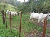 s/n Bijagual Carara Turrubares - Photo 9