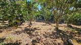  Citrus Farm 6042M² - Photo 6