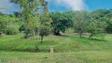  Finca 517-Acres Tierras Morenas - Photo 2