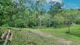  Finca 517-Acres Tierras Morenas - Photo 3