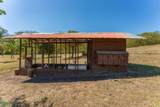  Finca La Prestancia - Photo 28