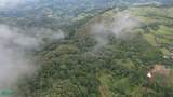  Ocean View Turrubares Mountains, Playa Hermosa - Photo 12