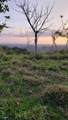  Ocean View Turrubares Mountains, Playa Hermosa - Photo 44