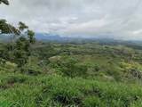  Ocean View Turrubares Mountains, Playa Hermosa - Photo 46