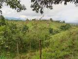  Ocean View Turrubares Mountains, Playa Hermosa - Photo 49