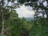  Ocean View Turrubares Mountains, Playa Hermosa - Photo 55