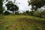 Finca Las Zompopas-R Address Not Published - Photo 4