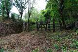 Finca Las Zompopas-R Address Not Published - Photo 8