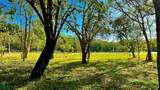126 Flat And Beautiful Residential Lot Inside Las Vent - Photo 6