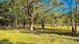 126 Flat And Beautiful Residential Lot Inside Las Vent - Photo 7