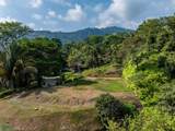  Uvita Las Colinas Prime Ocean View Lot #2 - Photo 11