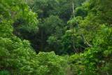  Santa Teresa , Oceanview Land For Your Dream Home - Photo 7