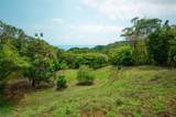  Santa Teresa Prime Jungle Retreat With Sunset View - Photo 2