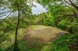  Santa Teresa Prime Jungle Retreat With Sunset View - Photo 4