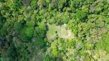  Santa Teresa Prime Jungle Retreat With Sunset View - Photo 5