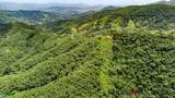  16 Ha Ocean View Finca, Maquenco - Photo 7