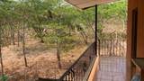  Tamarindo - Photo 17