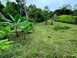  Dominical - Photo 11