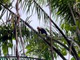  Dominical - Photo 12