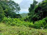  Dominical - Photo 9