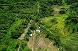  437 Acres, Nicoya, Scenic Views, Abundant Water - Photo 10