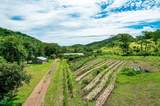  437 Acres, Nicoya, Scenic Views, Abundant Water - Photo 12
