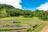  437 Acres, Nicoya, Scenic Views, Abundant Water - Photo 14