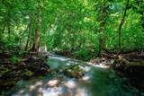 437 Acres, Nicoya, Scenic Views, Abundant Water - Photo 17