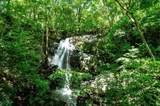  437 Acres, Nicoya, Scenic Views, Abundant Water - Photo 19