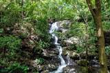  437 Acres, Nicoya, Scenic Views, Abundant Water - Photo 20