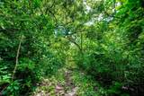  437 Acres, Nicoya, Scenic Views, Abundant Water - Photo 38