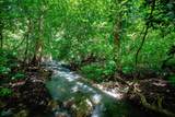  437 Acres, Nicoya, Scenic Views, Abundant Water - Photo 44