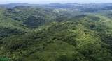  Finca Naranjalito Hills - Photo 16