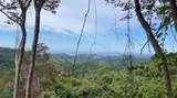  Finca Naranjalito Hills - Photo 17