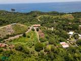 Ocean-View Homesite  Punta Playa Vistas Lot 2 - Photo 10