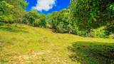  Ballena Views, Cinco Ventanas - Photo 9