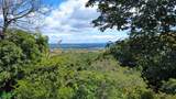 1 Altos Los Robles Sur - Photo 2