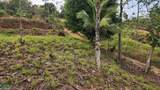  Mountain View Lot Close To Town Quepos - Photo 9
